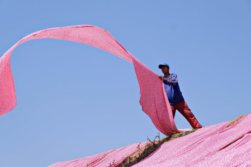 Recycled Textiles